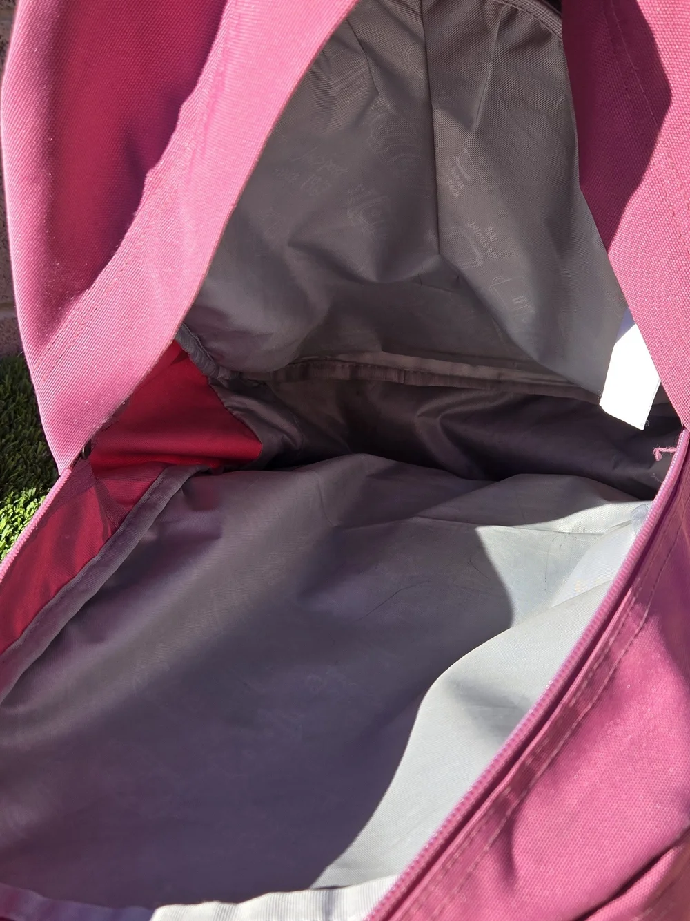 Jansport Rose Pink Travel Backpack with Brown Trim